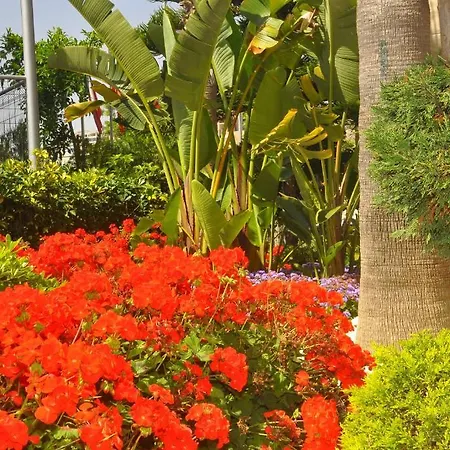 Hotel Mirador &